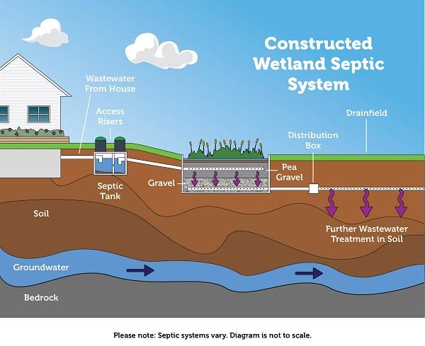 Constructed wetland septic system